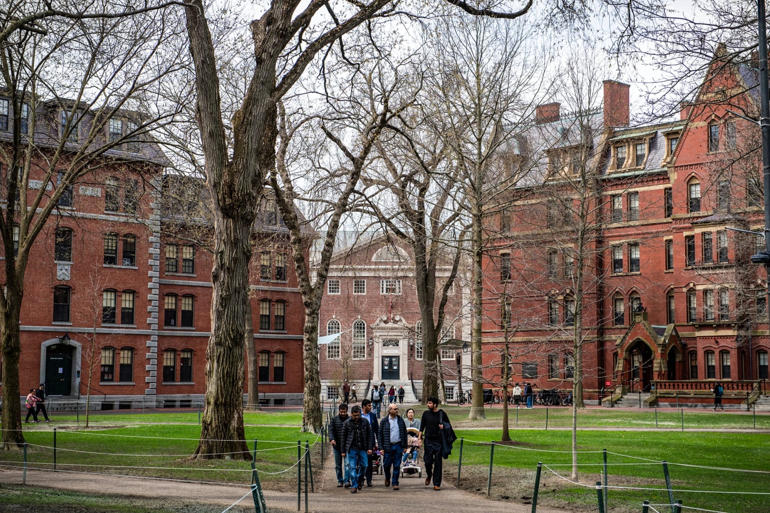Trump ngriu financimet shtet&euml;rore p&euml;r universitetin, Harvard ngre padi
