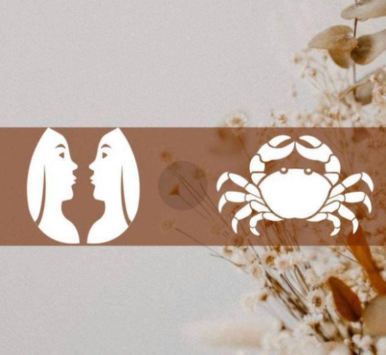 Horoskopi i Susan Miller për muajin dhjetor 2024 Binjakët dhe Gaforrja