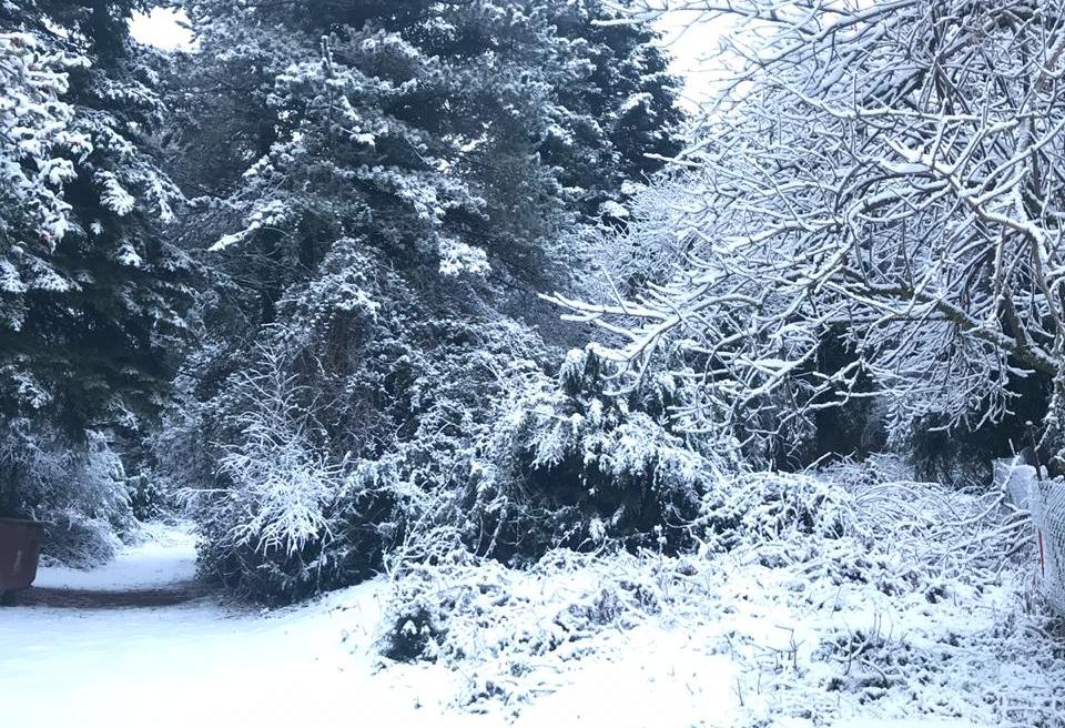 Temperatura të ulëta dhe ngrica, si do jetë parashikimi i motit