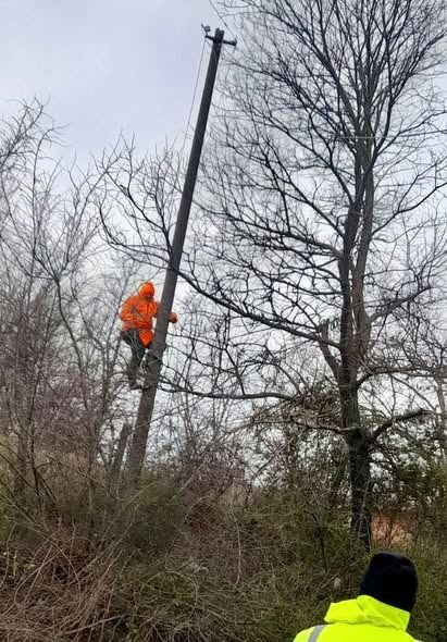 Balluku: Situata nën kontroll, strukturat e MIE në gatishmëri
