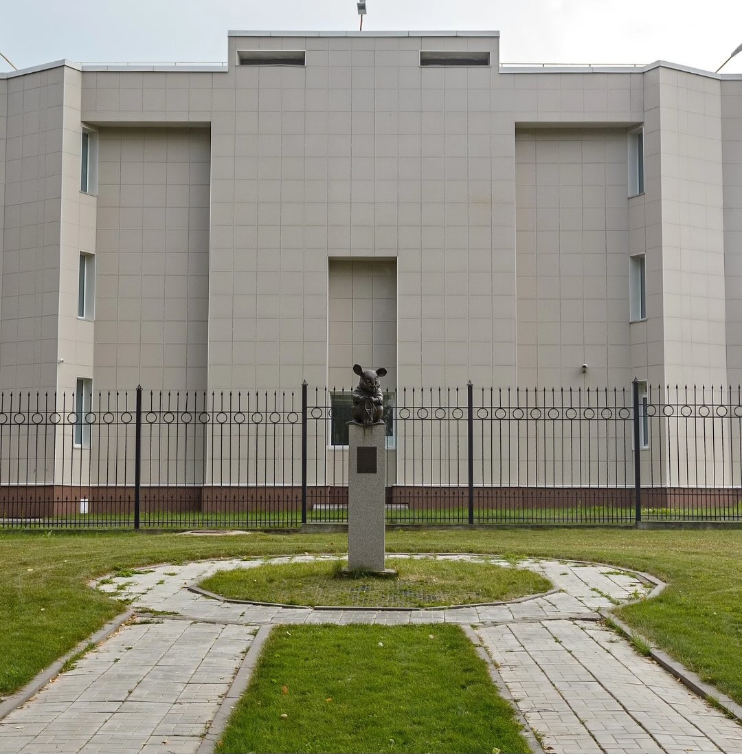 Një statujë nderon më në fund minjtë laboratorikë