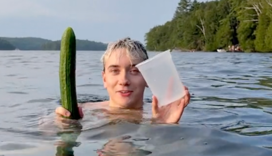 FOTO/ Trendi i Tik Tok-ut l&euml; Island&euml;n pa kastravec&euml;