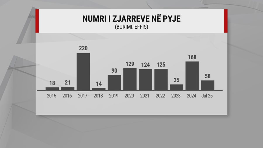 Sipërfaqja më e madhe në dekadën e fundit/ Mbi 26 mijë