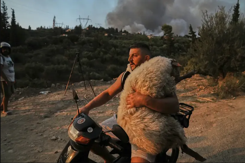 Nga fëmijët e uritur në Gaza te shqiptari hero në Greqi, BBC